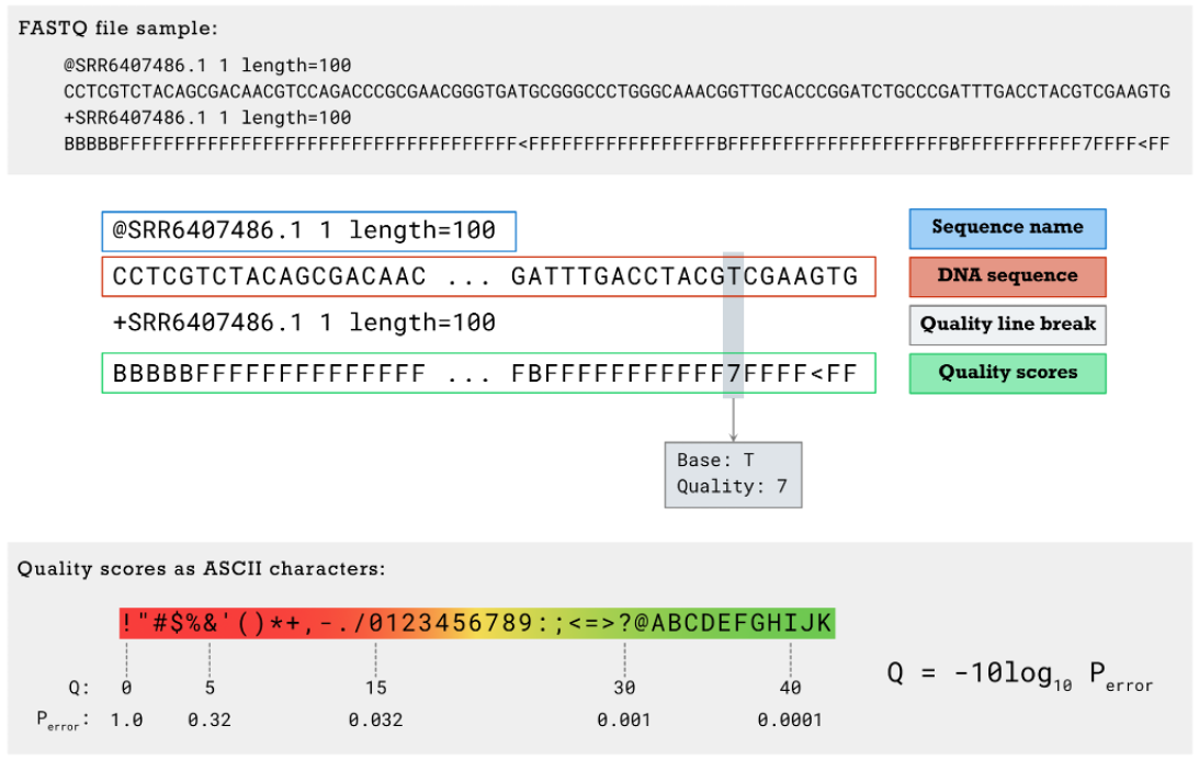 https://gencoded.com/index.php/2020/05/20/fastq-format-an-overview/
