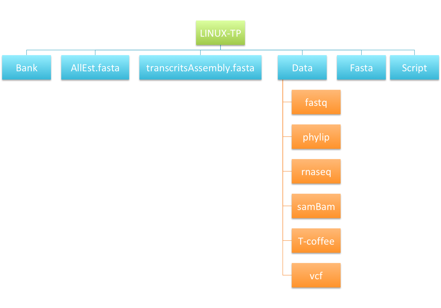 Build c linux